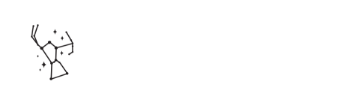 orion aviation colsulting